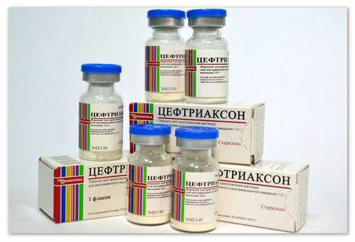 ceftriakson-poroshok.jpg